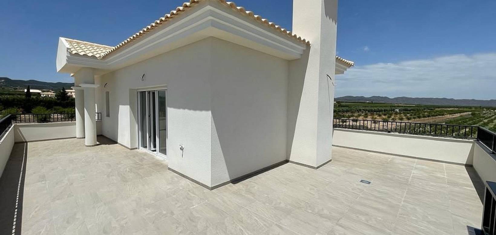 Nouvelle construction - Villa - Pinoso  - Pinoso