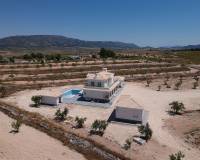 Nouvelle construction - Villa - Pinoso  - Pinoso