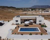 Nouvelle construction - Villa - Pinoso  - Pinoso