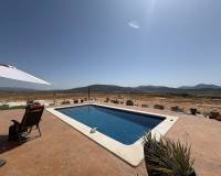 Nouvelle construction - Villa - Pinoso  - Pinoso