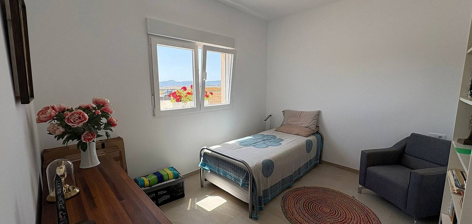 Nouvelle construction - Villa - Pinoso  - Pinoso