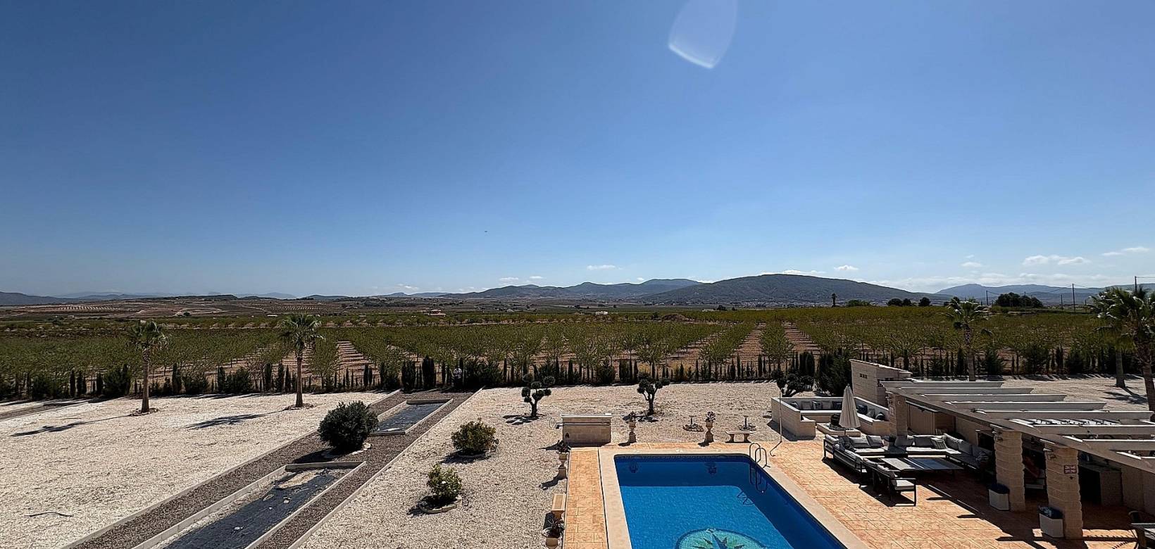 Nouvelle construction - Villa - Pinoso  - Pinoso