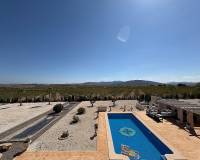 Nouvelle construction - Villa - Pinoso  - Pinoso