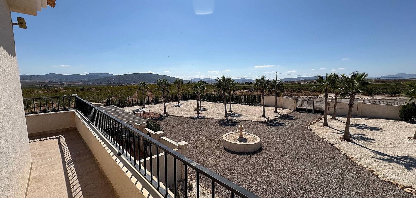 Nouvelle construction - Villa - Pinoso  - Pinoso