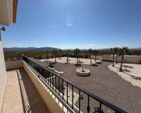 Nouvelle construction - Villa - Pinoso  - Pinoso