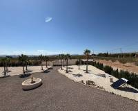 Nouvelle construction - Villa - Pinoso  - Pinoso