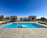 Nouvelle construction - Villa - Pinoso  - Pinoso