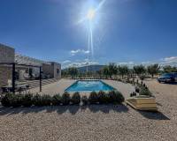 Nouvelle construction - Villa - Pinoso  - Pinoso