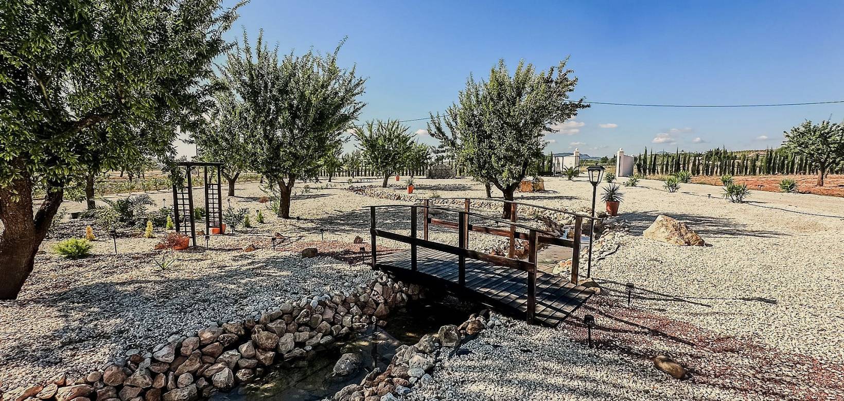 Nouvelle construction - Villa - Pinoso  - Pinoso