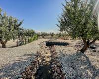 Nouvelle construction - Villa - Pinoso  - Pinoso