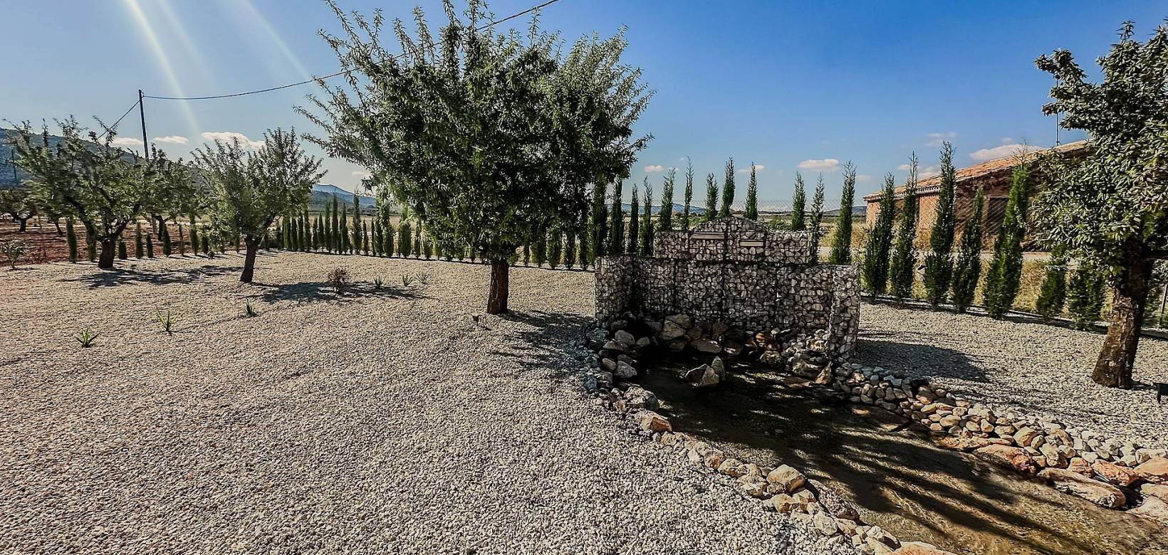 Nouvelle construction - Villa - Pinoso  - Pinoso