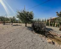 Nouvelle construction - Villa - Pinoso  - Pinoso