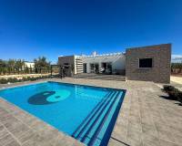 Nouvelle construction - Villa - Pinoso  - Pinoso