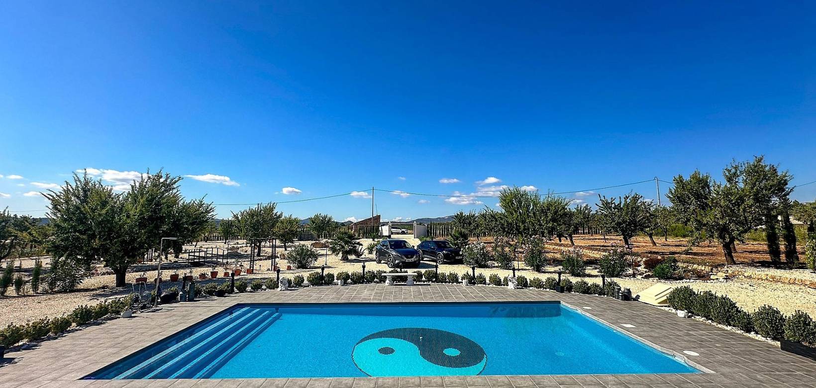 Nouvelle construction - Villa - Pinoso  - Pinoso