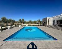 Nouvelle construction - Villa - Pinoso  - Pinoso