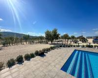 Nouvelle construction - Villa - Pinoso  - Pinoso