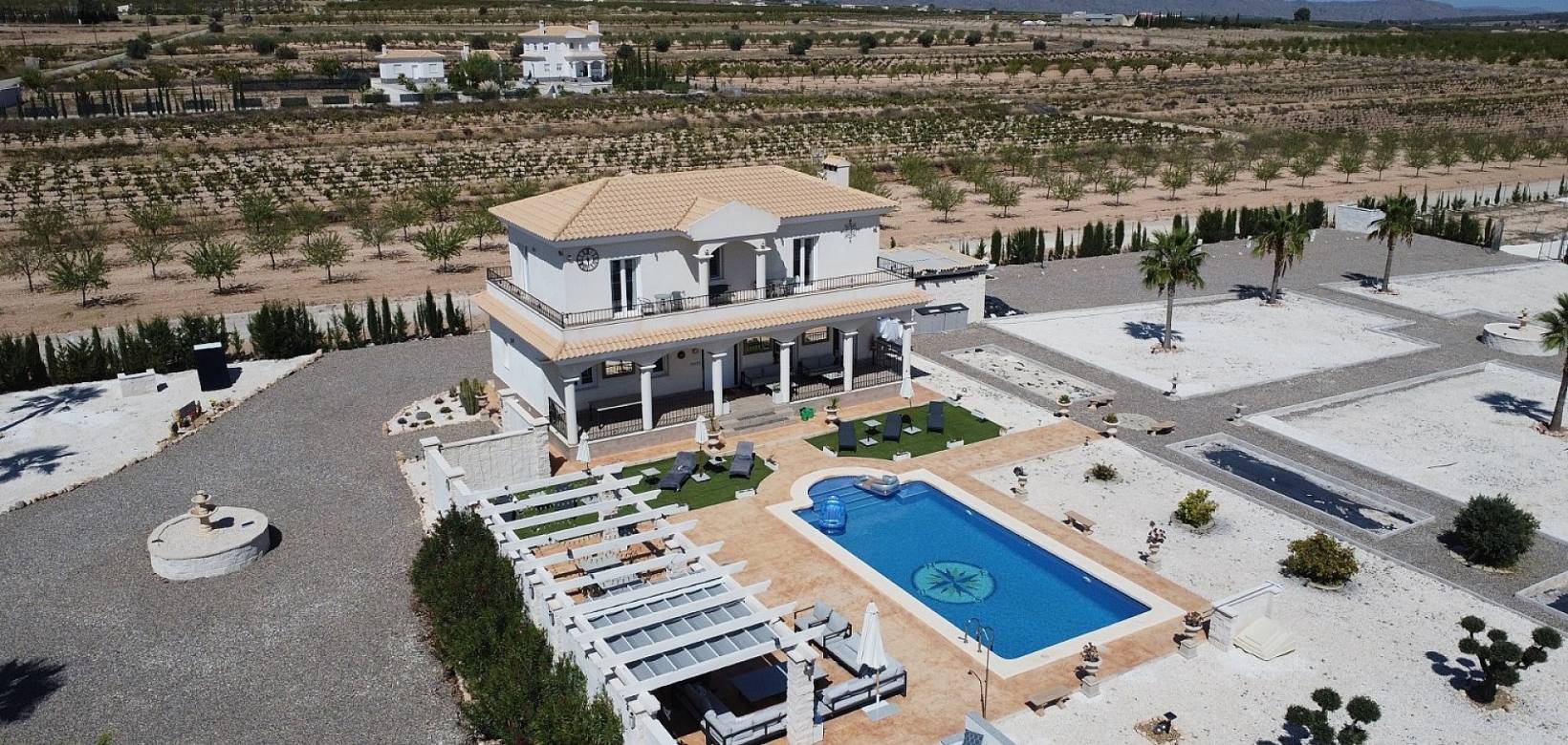 Nouvelle construction - Villa - Pinoso  - Pinoso