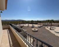 Nouvelle construction - Villa - Pinoso  - Pinoso