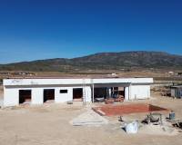 Nouvelle construction - Villa - Pinoso  - Pinoso