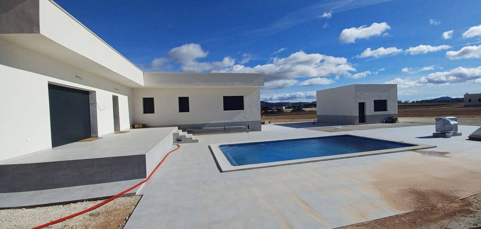 Nouvelle construction - Villa - Pinoso  - Pinoso