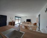 Nouvelle construction - Villa - Pinoso  - Pinoso