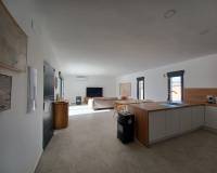 Nouvelle construction - Villa - Pinoso  - Pinoso