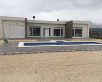 Nouvelle construction - Villa - Pinoso  - Pinoso