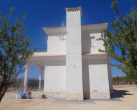 Nouvelle construction - Villa - Pinoso  - Pinoso