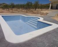 Nouvelle construction - Villa - Pinoso  - Pinoso