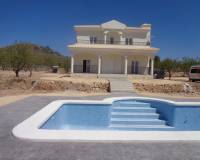 Nouvelle construction - Villa - Pinoso  - Pinoso