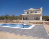 Nouvelle construction - Villa - Pinoso  - Pinoso