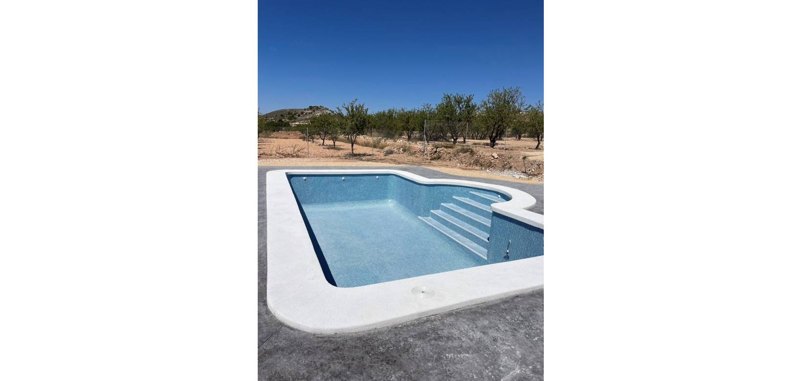 Nouvelle construction - Villa - Pinoso  - Pinoso