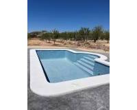 Nouvelle construction - Villa - Pinoso  - Pinoso