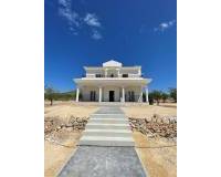 Nouvelle construction - Villa - Pinoso  - Pinoso