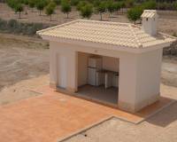 Nouvelle construction - Villa - Pinoso  - Pinoso