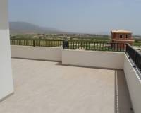 Nouvelle construction - Villa - Pinoso  - Pinoso