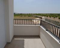 Nouvelle construction - Villa - Pinoso  - Pinoso