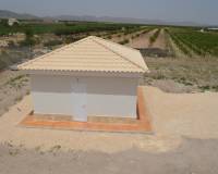 Nouvelle construction - Villa - Pinoso  - Pinoso