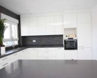 Nouvelle construction - Villa - Pinoso  - Pinoso