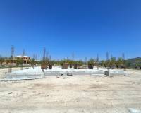 Nouvelle construction - Villa - Pinoso  - Pinoso