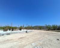 Nouvelle construction - Villa - Pinoso  - Pinoso