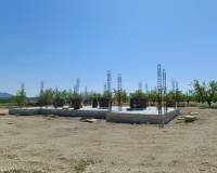 Nouvelle construction - Villa - Pinoso  - Pinoso