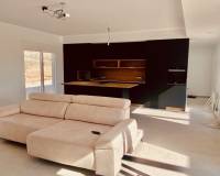 Nouvelle construction - Villa - Pinoso  - Pinoso