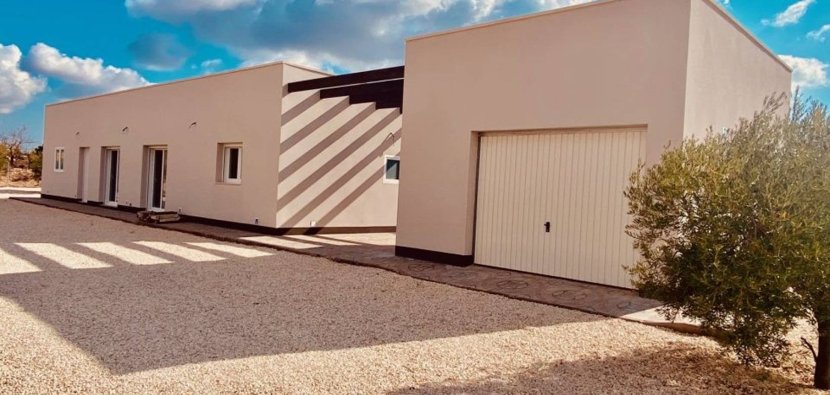 Nouvelle construction - Villa - Pinoso  - Pinoso