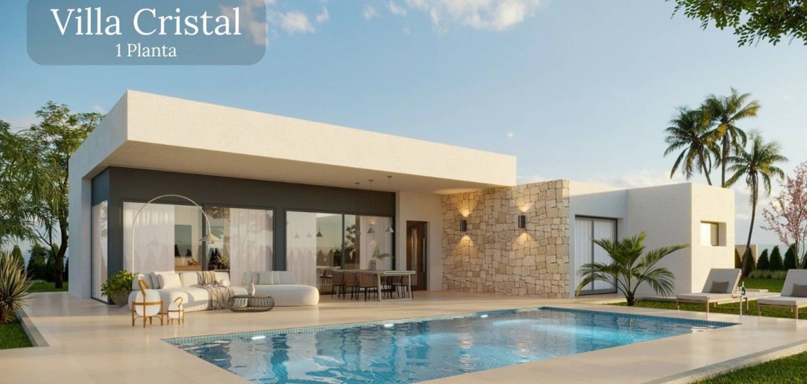 Nouvelle construction - Villa - Pinoso  - Pinoso