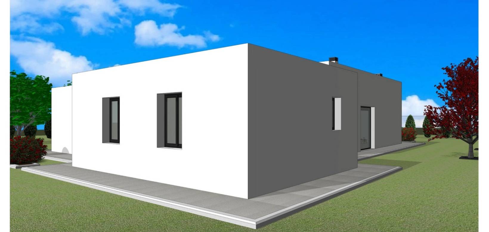 Nouvelle construction - Villa - Pinoso  - Pinoso