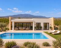 Nouvelle construction - Villa - Pinoso  - Pinoso
