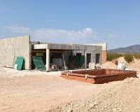 Nouvelle construction - Villa - Pinoso  - Pinoso