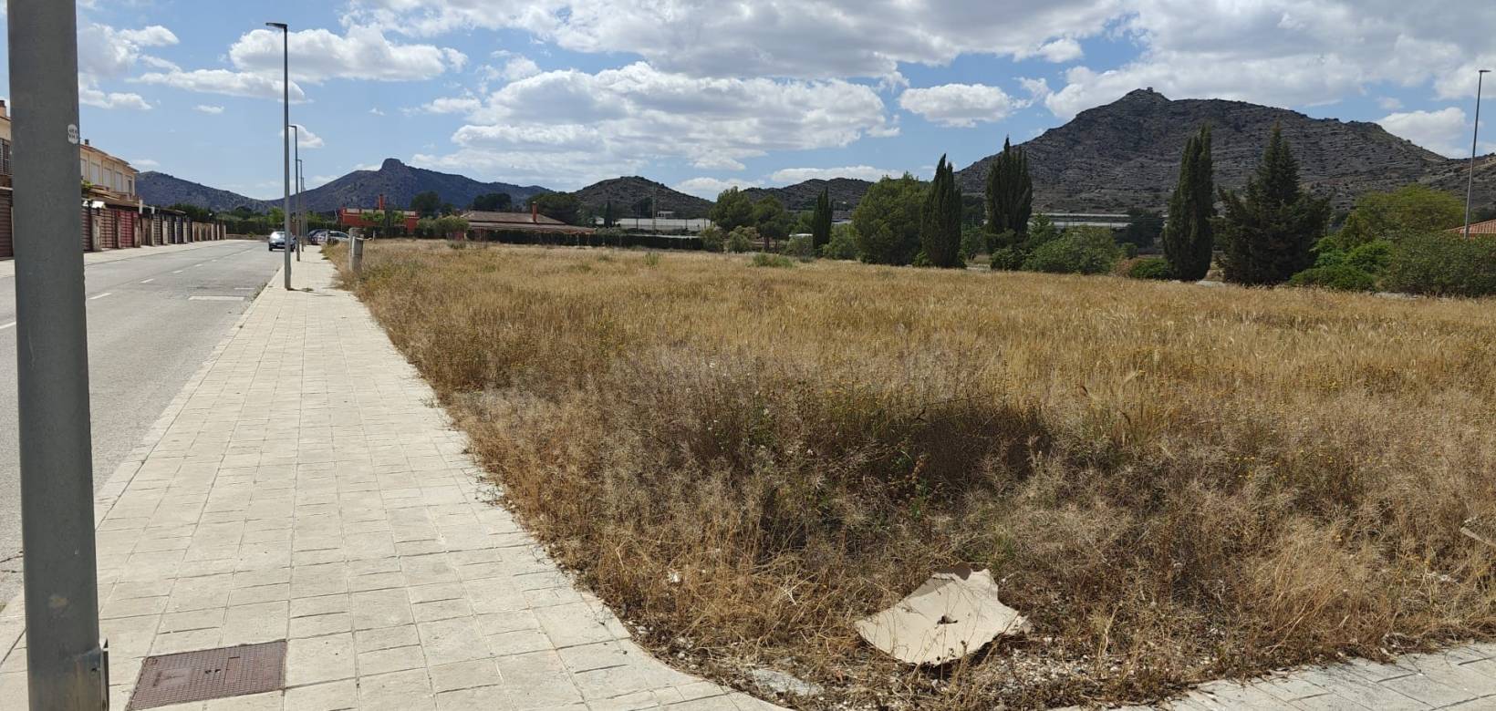 Nueva construcción  -  - Aspe