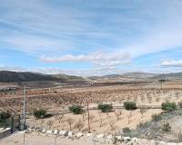 Nueva construcción  - Chalet - Cañada de la Leña